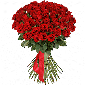 51 Premium Red Roses