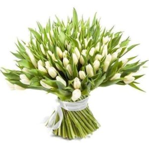 White tulips