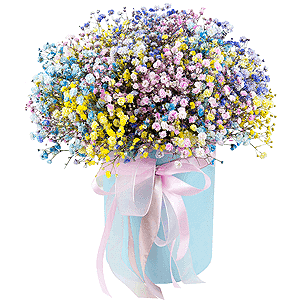 Flowers Delivery Serik