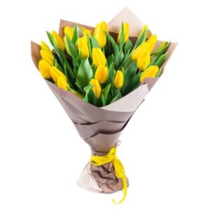 Yellow Tulips